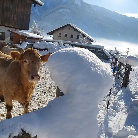 Mitterschuetzinghof Saalfelden