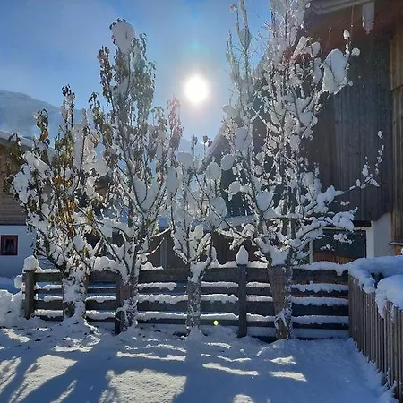 Apartment Mitterschuetzinghof Saalfelden