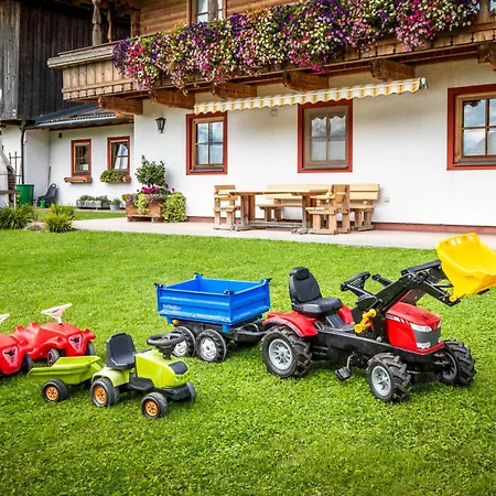 Mitterschuetzinghof * Saalfelden