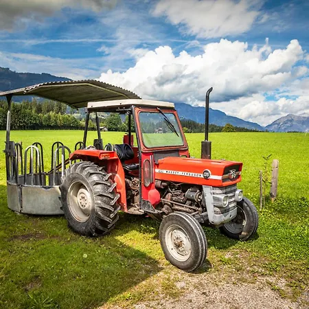 Mitterschuetzinghof *