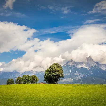 Apartment Mitterschuetzinghof