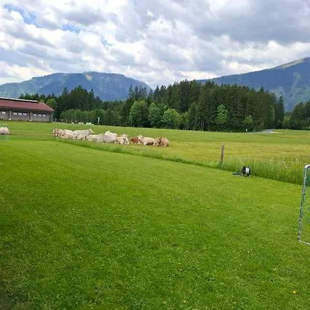 Mitterschuetzinghof Apartment *