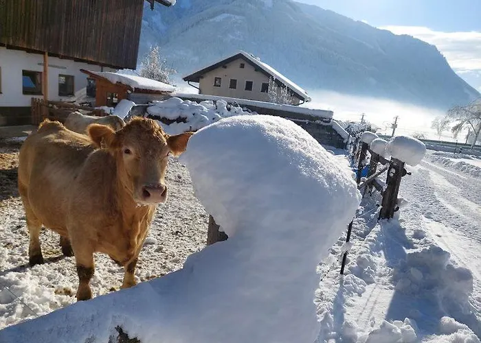 Mitterschuetzinghof ザールフェルデン・アム・シュタイナーネン・メアー