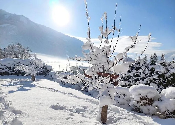 アパート Mitterschuetzinghof