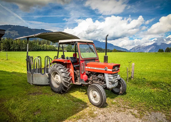 Mitterschuetzinghof *